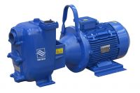 Varisco JE selbstansaugende Schmutzwasserpumpe in Graugussausführung mit Welle aus Edelstahl AISI/316