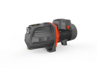 LEO AJ Gusseisenpumpe JET 400V
